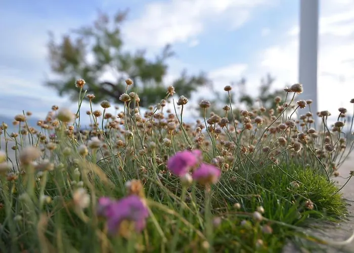 El Oasis De By Just *